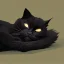 Placeholder: Gato negro durmiendo,cama, noche