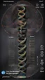 Placeholder: DNA in 3D