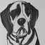 Placeholder: b&w line drawing beagle running white background