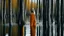 Placeholder: Woman with long hair and orange dress standing in shallow water surrounded by vertical birch trunks.