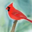 Placeholder: northern cardinal watercolor