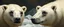 Placeholder: close up venusian ice bears with make up painted by Rembrandt