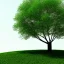 Placeholder: landscape tree