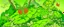 Placeholder: A lime green kingdom with butterflies painted by Katsushika Hokusai