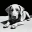 Placeholder: a black and white 3D image of a light brown labrador lying down, surreal and otherworldly, intricate linework, mind-bending composition, intricate patterns in the fur,masterful use of light and shadow,masterful use of light and shadow,masterful use of light and shadow, dreamlike quality, detailed linework akin to Moebius, intricate details, vibrant and contrasting colors, Artstation for showcasing.