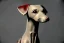 Placeholder: steam punk whippet dog radioactive with metal ear