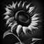 Placeholder: stylized sunflower bw