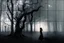 Placeholder: Trees, forest, one person, gothic horror movies influence, photography hd