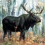 Placeholder: 90's fantasy tcg art of a moose in forest