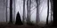 Placeholder: The camera pans through the dense, misty forest, the sound of twigs snapping and leaves rustling filling the air. A figure emerges from the shadows, hooded and cloaked, their face obscured by the darkness. FIGURE: (voiceover) The prophecy has been fulfilled. The chosen one has come. Cut to: INT. KING'S THRONE ROOM - DAY The figure enters the throne room, approaching the throne where the KING sits, his face obscured by shadows.