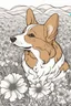 Placeholder: Portrait of a Corgi in a lively field of marigolds, mature coloring artwork, contour, vector, clean line art, white background, detailed, black and white, in the style of kalamkari design