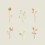 Placeholder: concept art of six low poly stylized alien dry single leaf plant on a neutral background. Strange fictional extraterrestrial flora with unusual shapes