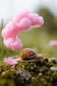 Placeholder: A pink plastic cloud floating in the snail