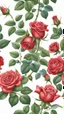 Placeholder: Heart red rose, white background, intricate details, highly detailed, high details, detailed portrait, masterpiece,ultra detailed, ultra quality