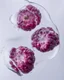 Placeholder: pomegranate seeds are refracted under water