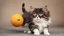 Placeholder: funny cats with ball