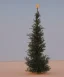Placeholder: festive Christmas tree in a vast desert