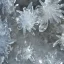 Placeholder: ice crystals, bell-shaped bouquet, reflection