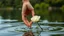 Placeholder: Young woman hand holding man's hand , close a white rose swims on the water, in the blur background a lake, some green trees, ultra detailed, sharp focus, perfect anatomy, perfect hands with fingers, perfect photo