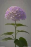 Placeholder: an isolated translucent hydrangea plant, 3d render, art nouveau style, ultra realistic, masked transparent flat background, backlight, popular on sketchfab, pixelsquid, 8k, volumetric lighting, super focused, no blur, trending on artstation, octane render, ultra detailed, hyperrealistic, by artgerm and alphonse mucha