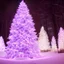 Placeholder:  Giant christmas tree white and pink, whit many light in a forest at night