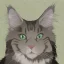 Placeholder: Maine coon cat ears silver