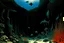 Placeholder: A black underwater abyss with shadow monsters designed in ancient Greek mosaics painted by Max Ernst
