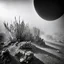 Placeholder: A striking quality Kodak photograph captures a wasteland with a group of plants, creepy, details of the dust very accentuated, glossy organic mass, adorned with minerals and rocks. Bathed in intense light, eerie, Max Ernst style, black sun, fog