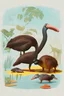 Placeholder: John James Audubon-like illustration of a fully uncropped Dodo bird and a Platypus in a landscape of warm yellows, warm reds, and warm blues