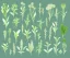 Placeholder: vector plants set illustration. watercolor white backdrop