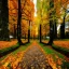 Placeholder: fall forest walkway fallen tree leaves , very beautiful environment and sky