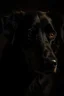 Placeholder: un perro negro, con la mirada atento, plano medio, luz oscura, ambiente misterioso, con estilo de Rembrandt
