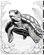 Placeholder: B/W outline art,coloring book page, full white, super detailed illustration for adult,cartoon style " The Turtle Adventurer", crisp line, line art, high resolution,cartoon style, smooth, low details, no shading, no fill, white background, clean line art,law background details, Sketch style, strong and clean outline, strong and black outline