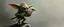 Placeholder: air brush 3d with pen outline, mongrel goblin gremlin holding big big bird with blurred shadow outline, charcoal fog border