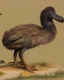 Placeholder: John James Audubon-like illustration of a fully uncropped Dodo bird and a Platypus in a landscape of warm yellows, warm reds, and warm blues