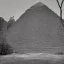 Placeholder: ancient pyramids in overgrown manhattan