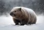 Placeholder: wombat in blizzard
