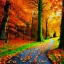 Placeholder: fall forest walkway fallen tree leaves , very beautiful environment and sky