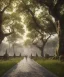 Placeholder: long promenade in a grand garden with ancient trees lining a cobblestone path, perfect composition, beautiful detailed intricate insanely detailed octane render trending on artstation, 8 k artistic photography, photorealistic concept art, soft natural volumetric cinematic perfect light, chiaroscuro, award - winning photograph, masterpiece, oil on canvas, raphael, caravaggio, Angkor