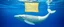 Placeholder: whale boat with gelatine membrane as sail
