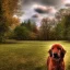 Placeholder: Portrait of a dog in sky HDR, UHD, 64K --v 4