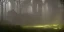 Placeholder: Ruined overgrown castle in a misty forest, light rays, dynamic lighting