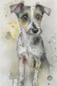 Placeholder: Abstract wet watercolour of a rough coated jack Russell, ink lines, interlinked circles, detailed,focus on eyes, watercolour paper