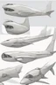 Placeholder: aeroplane inspired by shark with side view , quarter rear and front view