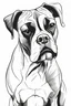 Placeholder: A boxer dog simplistic line drawing, cartoon style, black and white