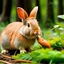 Placeholder: a rubbit eat carrot in the forest