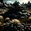 Placeholder: A striking photograh close-up captures a hyperrealistic wasteland with group of plants and glossy material, adorned with rocks. Magnificent. Henri Rousseau. Volumetric light. Shot on Kodak Portra 160 professional, eerie, giant black sun, 8k, deep 3d field, odd flowers, rock formations, strong texture, extreme detail, intricate, colours, rich moody colors, sparkles, bokeh, 33mm photography, details of the flowers and rocks very accentuated