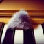 Placeholder: Photo of A furry piano