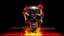 Placeholder: 4K. REALISTIC FULL DETAILS. LOGO EMISSION DE RADIO HARDROCK FIRESTARTER TERMINATOR. FLAMMES EN FOND D IMAGE