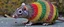 Placeholder: rasta rat